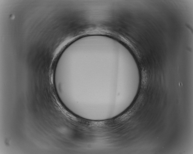 X0000100981462200806241137