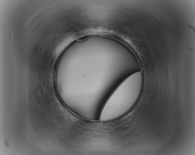 X0000100981463200806241137
