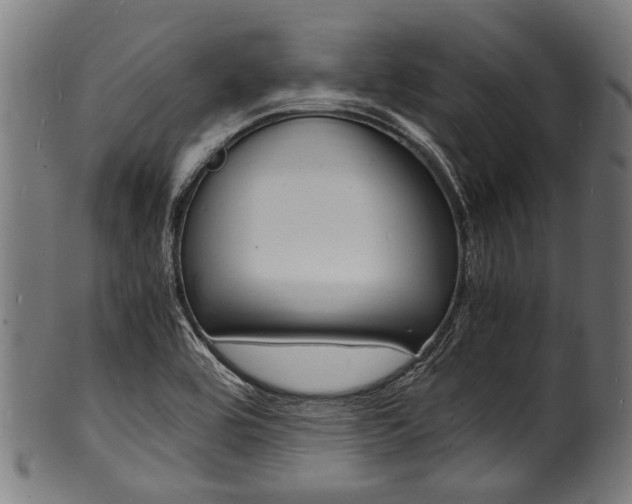 X0000100981464200806241137