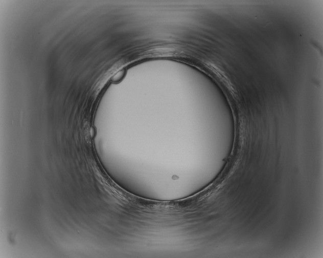 X0000100981465200806241137