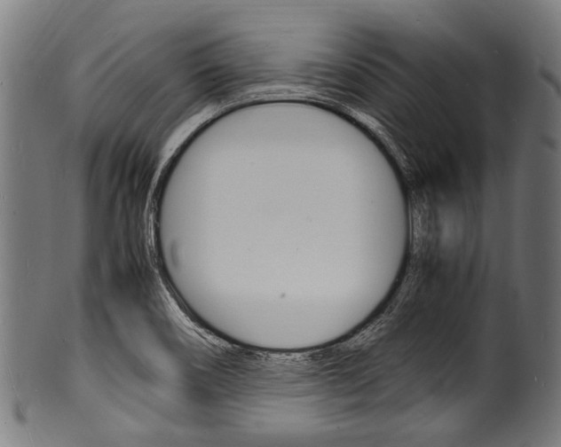 X0000100981466200806241137