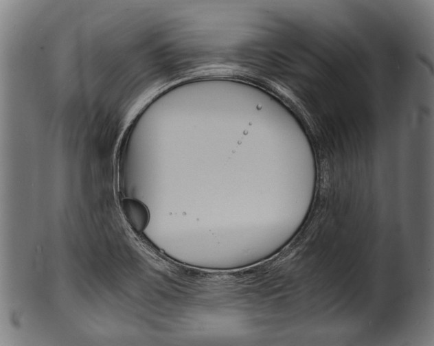 X0000100981467200806241137