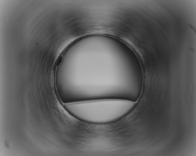 X0000100981468200806241137