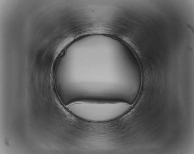 X0000100981469200806241137