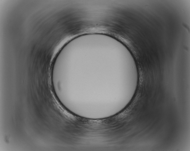 X0000100981470200806241137