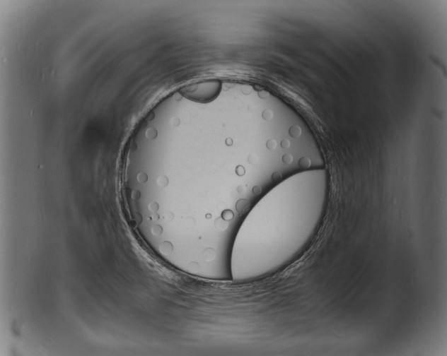 X0000100981471200806241137