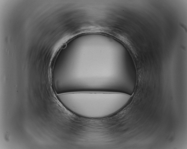 X0000100981472200806241137