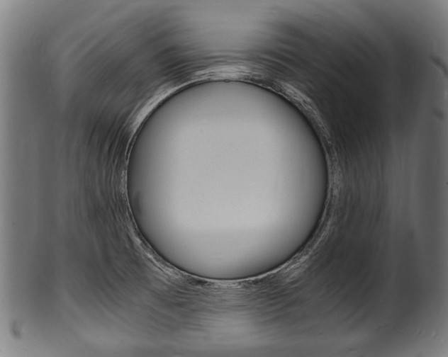 X0000100981473200806241137