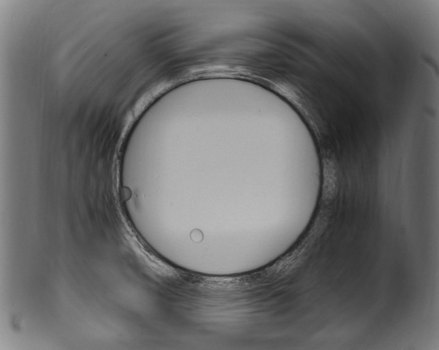 X0000100981474200806241137