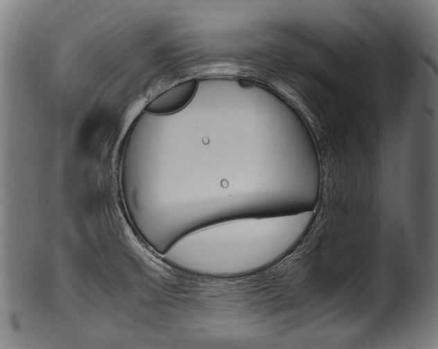 X0000100981475200806241137