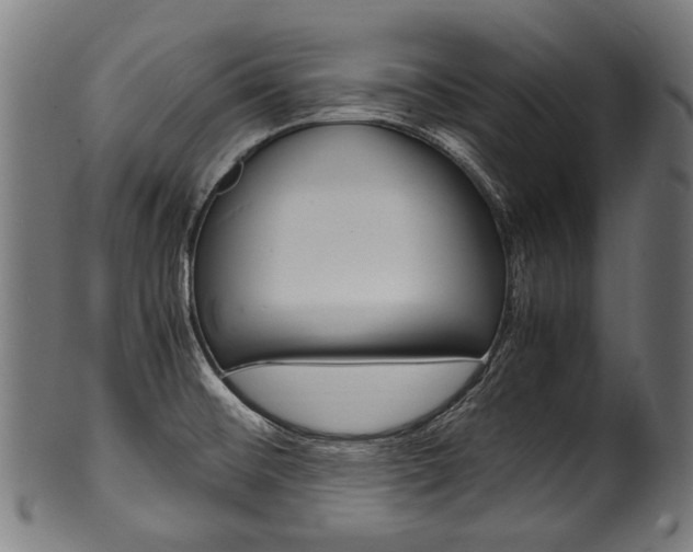 X0000100981476200806241137
