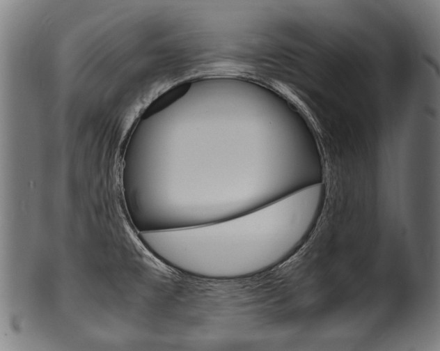 X0000100981477200806241137