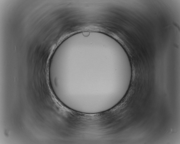 X0000100981478200806241137