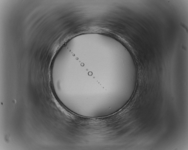 X0000100981479200806241137