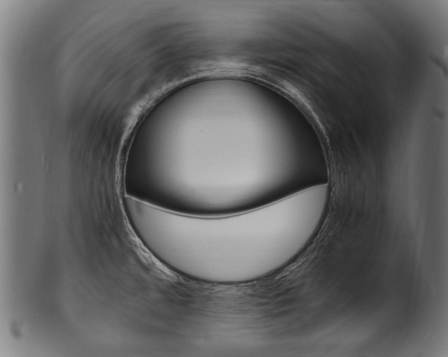X0000100981480200806241136