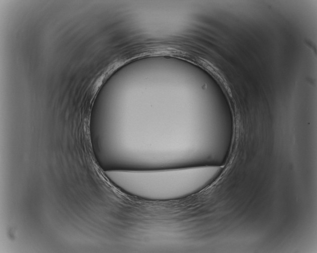 X0000100981481200806241136