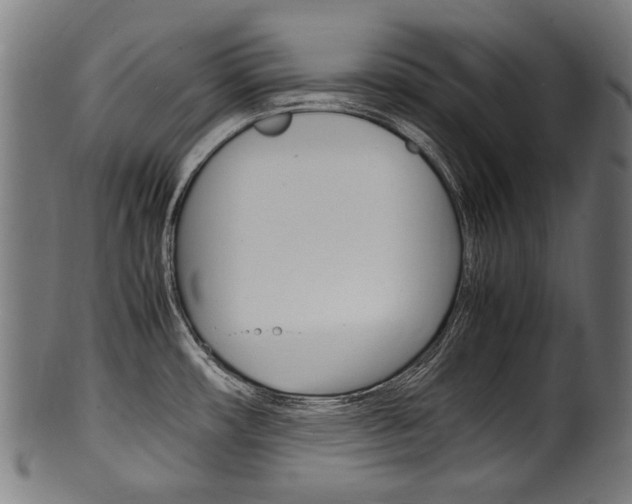 X0000100981482200806241136