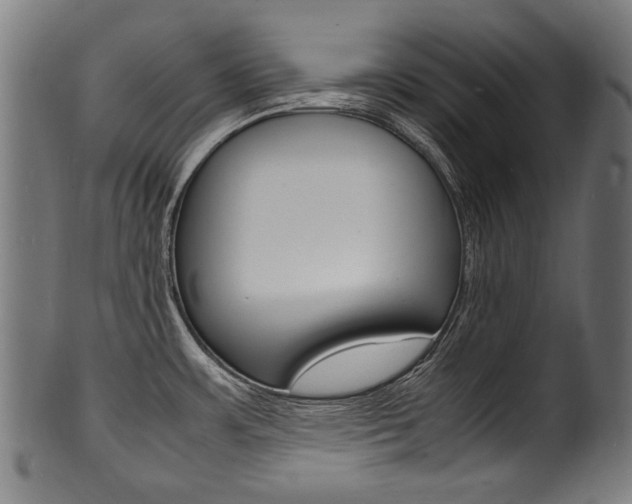 X0000100981483200806241136