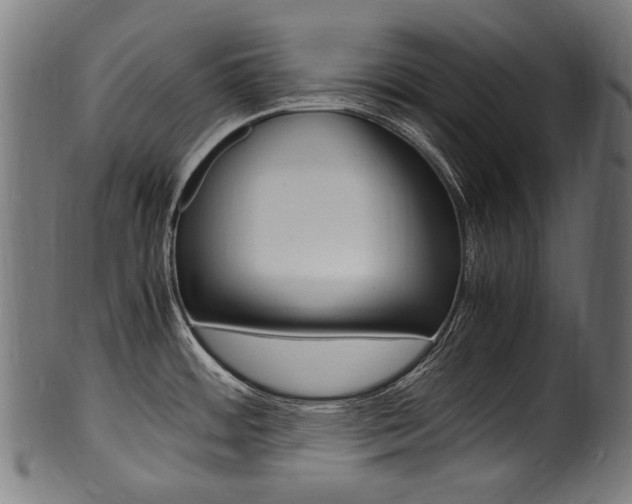 X0000100981484200806241136
