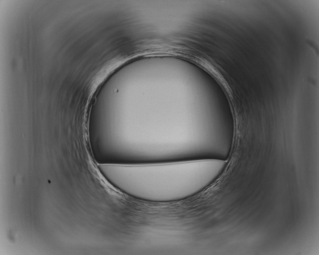 X0000100981485200806241136