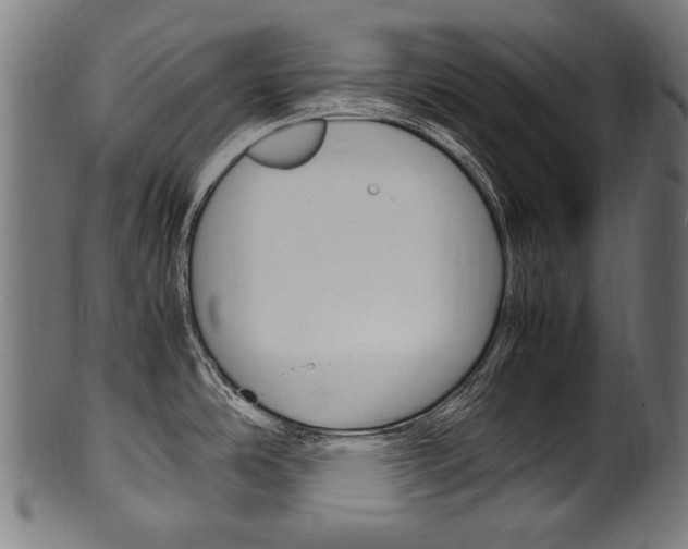 X0000100981486200806241136