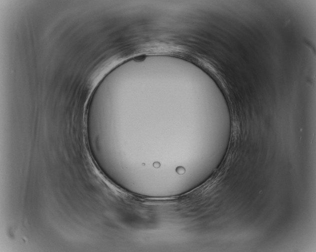 X0000100981487200806241136