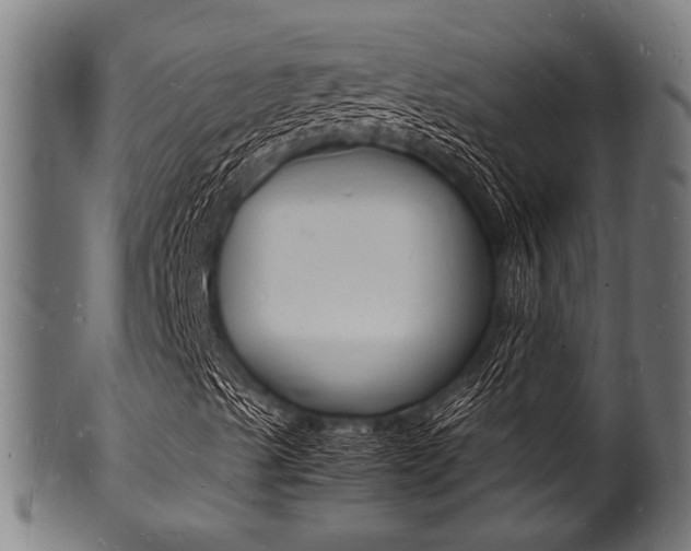 X0000100981489200806241136