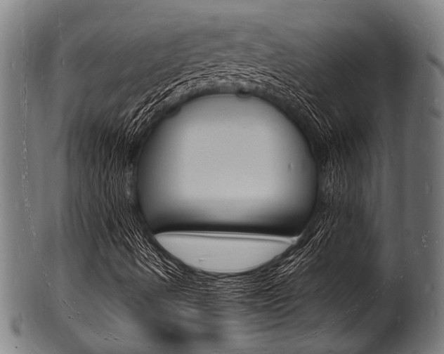 X0000100981490200806241136