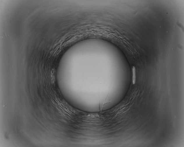 X0000100981491200806241136