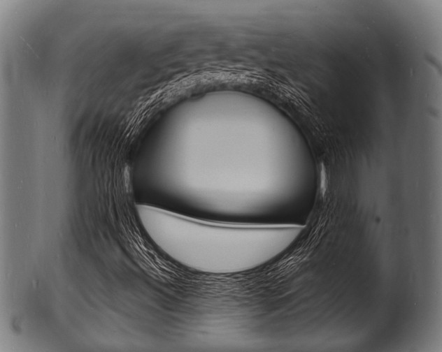 X0000100981492200806241136