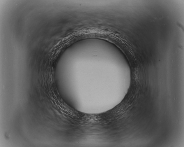 X0000100981493200806241136