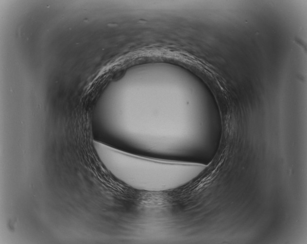 X0000100981494200806241136