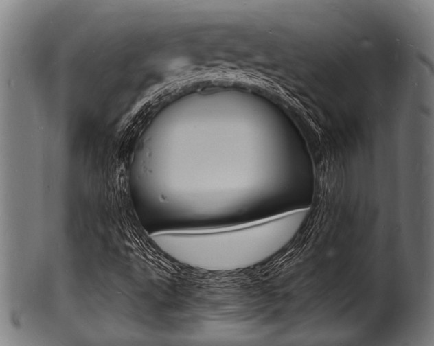X0000100981495200806241136