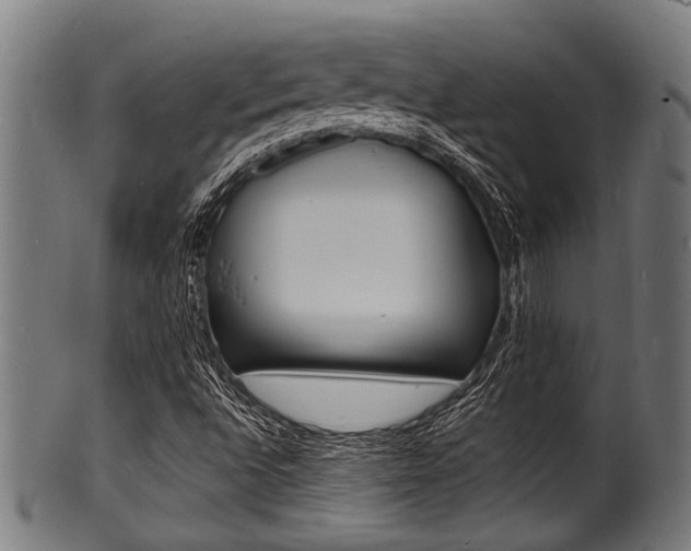 X0000100981496200806241136