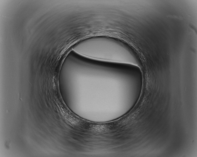 X0000100981497200806241136