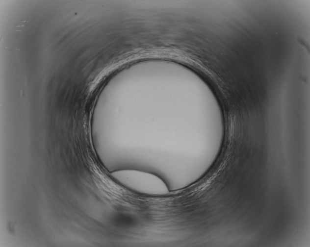X0000100981498200806241136