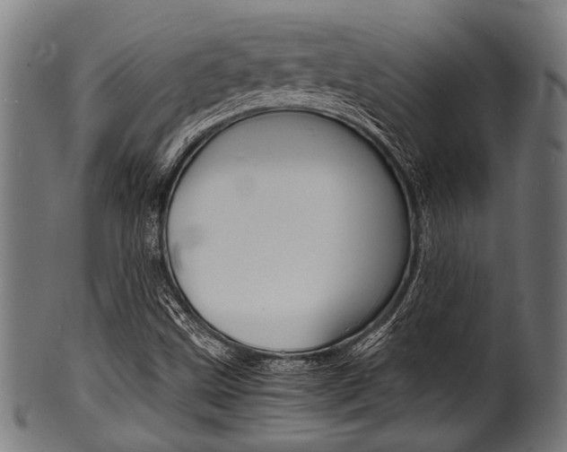 X0000100981499200806241136