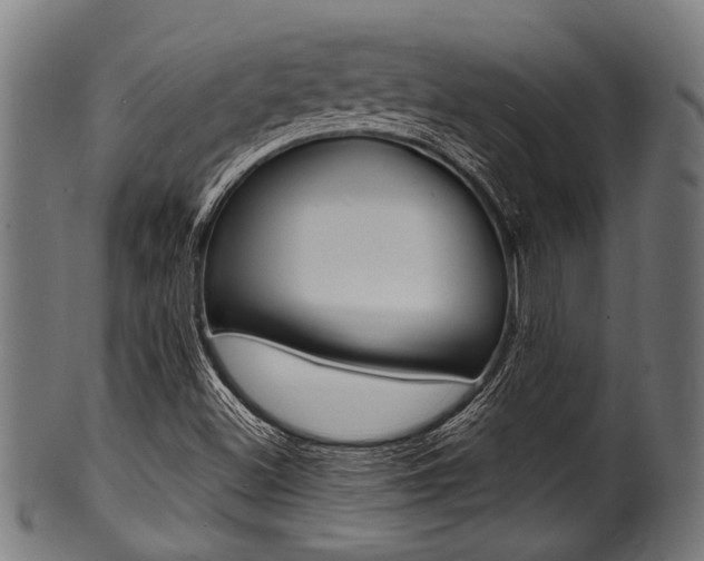 X0000100981500200806241136