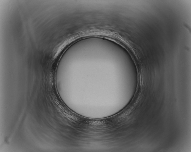 X0000100981501200806241136