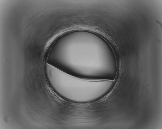 X0000100981502200806241136