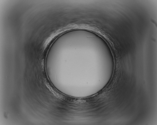 X0000100981503200806241136