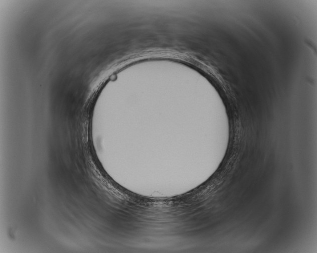 X0000100981504200806241136