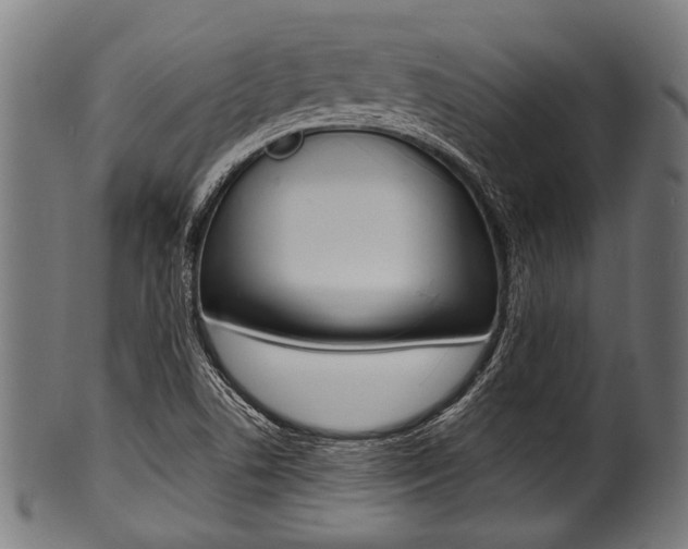 X0000100981506200806241136