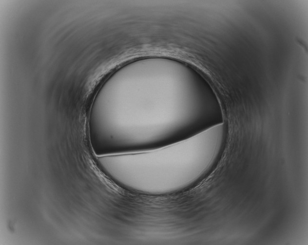X0000100981507200806241136