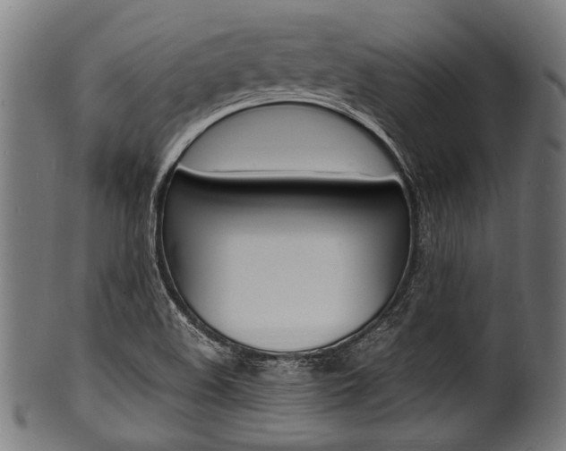 X0000100981508200806241136