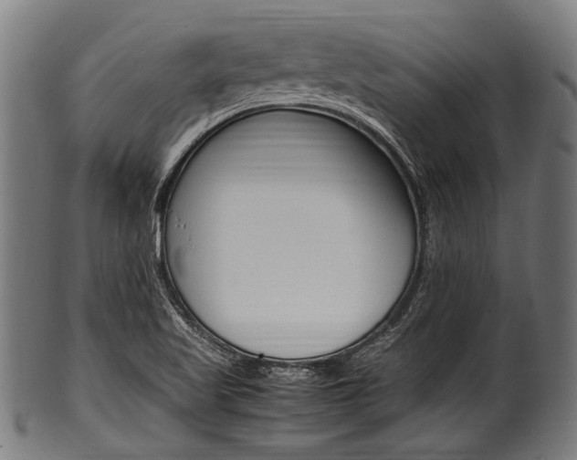 X0000100981509200806241136