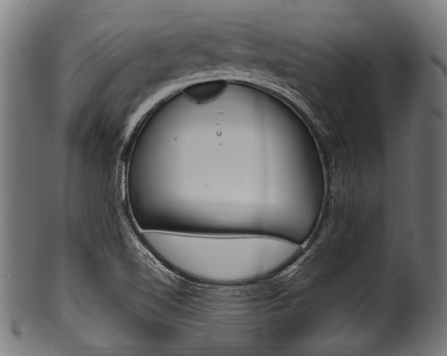X0000100981510200806241136