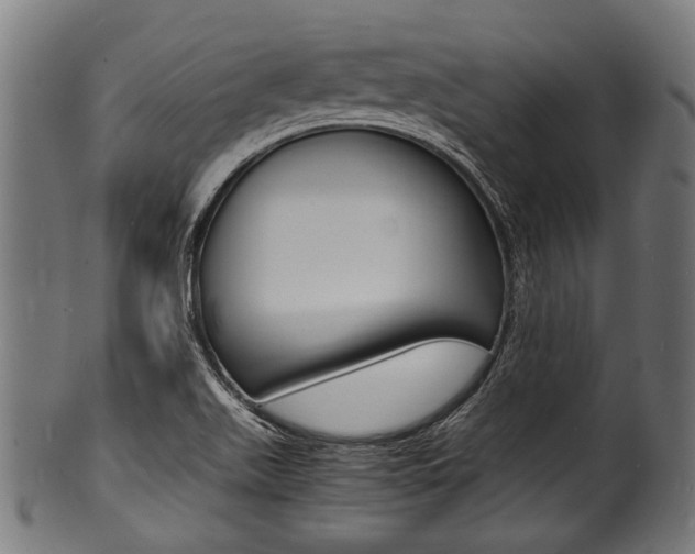 X0000100981511200806241136