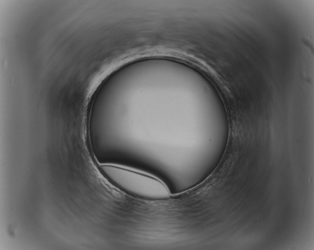 X0000100981512200806241136