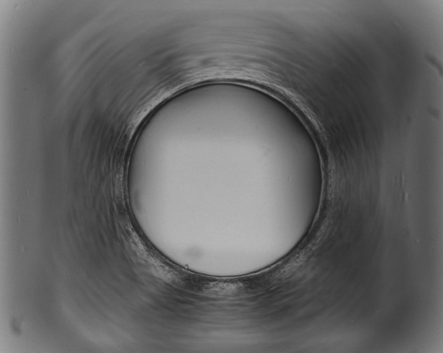 X0000100981513200806241136